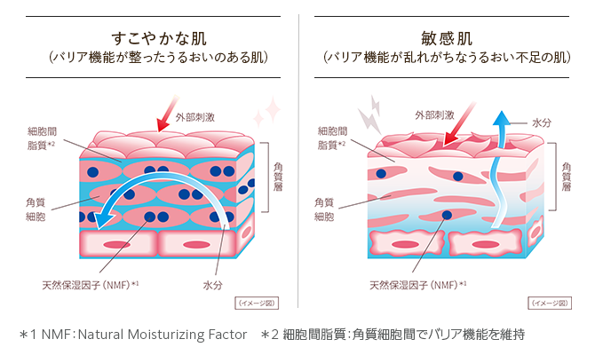 すこやかな肌と敏感肌の比較図